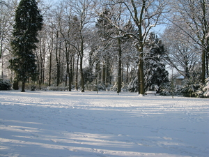 2009-12-18 sneeuw in het park (18)