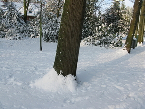 2009-12-18 sneeuw in het park (21)
