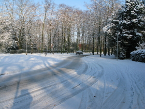 2009-12-18 sneeuw in het park (22)