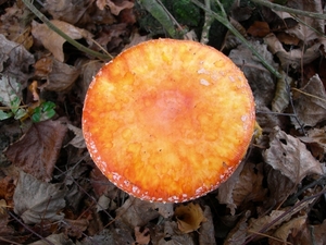 DSCN0750