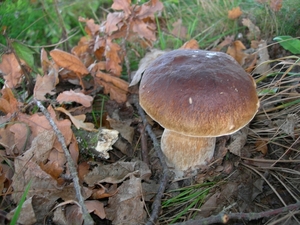 DSCN0758