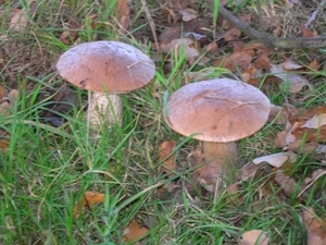 DSCN0777