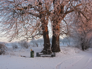 winterwandeling