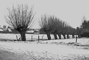 Elversele winterlandschap