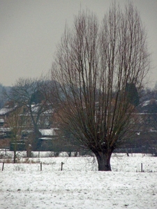 panorama van Elversele