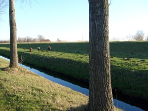 langs de polderdijk