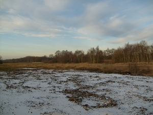 S6301196