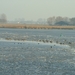 2003_0223_040104AA