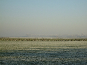 2011_1218_112700AA