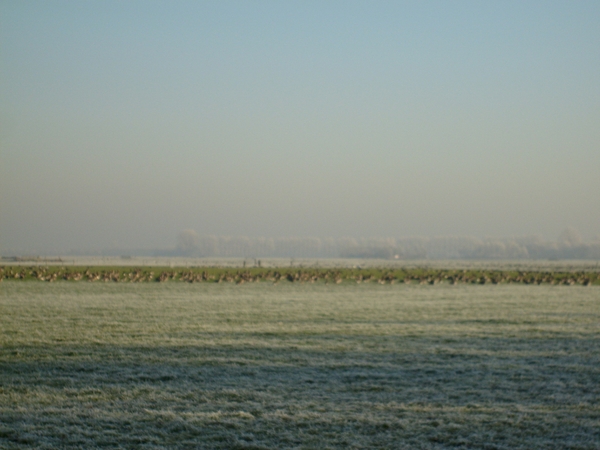 2011_1218_112700AA
