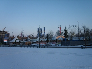 Winterland03-01-10 011