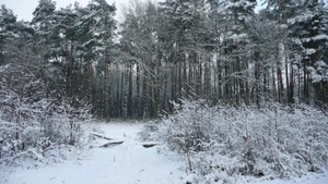 8 / 7 jan 2010
