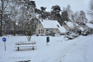 vakantie park de vers te overloon