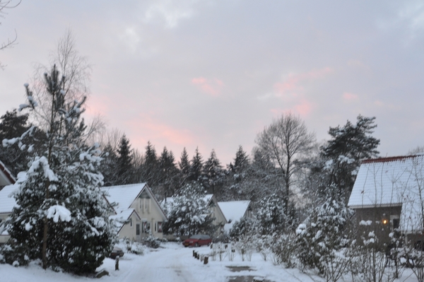 vakantie huisje op de vers te overloon