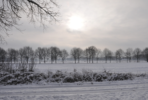 winterlandschap rond de vers te overloon