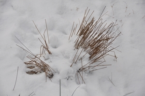 sneeuw detail rond de vers te overloon