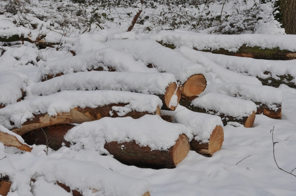 sneeuw detail rond de vers te overloon