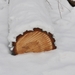 sneeuw detail rond de vers te overloon