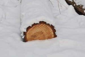 sneeuw detail rond de vers te overloon