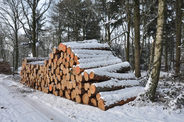 sneeuw detail rond de vers te overloon