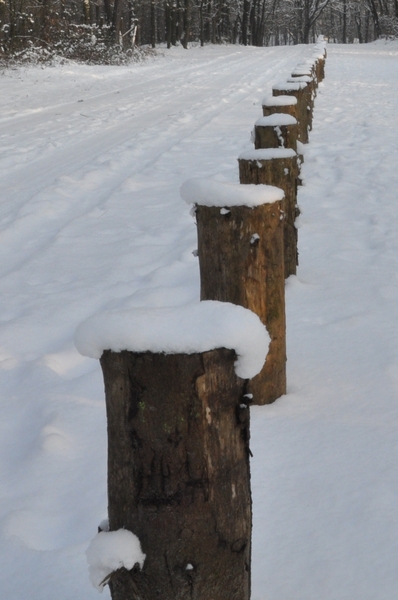 sneeuw detail rond de vers te overloon