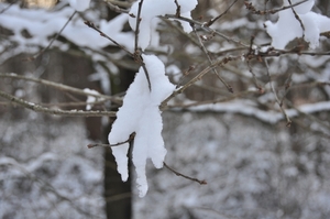 sneeuw detail rond de vers te overloon