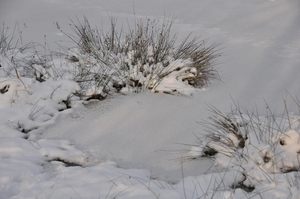 sneeuw detail rond de vers te overloon (meer de vers)