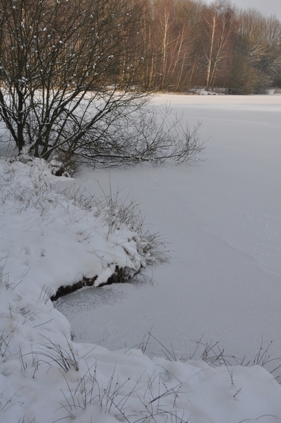 sneeuw detail rond de vers te overloon (meer de vers)