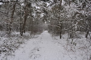 wandelpaden rond vakantie park de vers te oeverloon