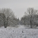 sneeuw natuur rond vakantei park de vers te overloon