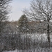 sneeuw natuur rond vakantie park de vers te overloon