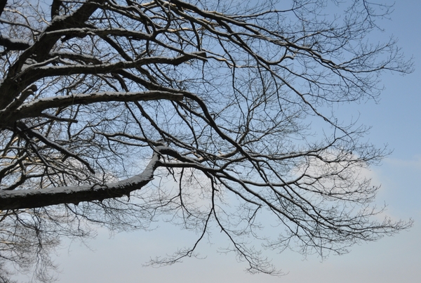 sneeuw detail rond de vers te overloon