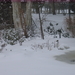 Sneeuwpracht
