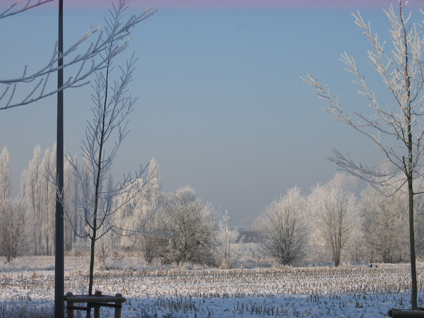 Sneeuwpracht