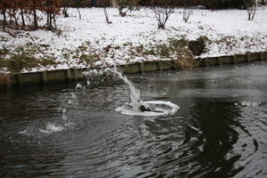 gracht hofke van roosendael