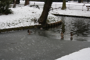 gracht hofke van roosendael
