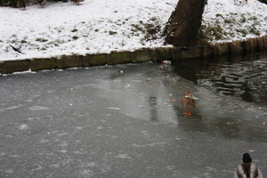 gracht hofke van roosendael