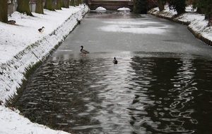 gracht hofke van roosendael