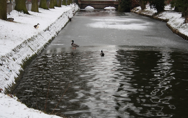 gracht hofke van roosendael