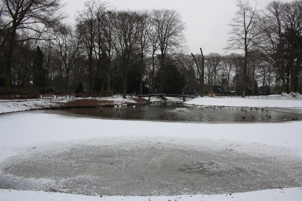 groot park merksem vijver