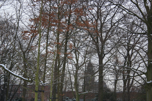 groot park merksem zicht kerk st fransciscus