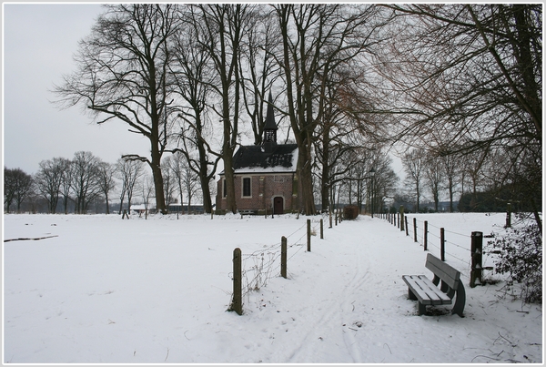 winter,olen,sneeuw,bomen,architectuur