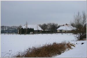 Winter in Olen