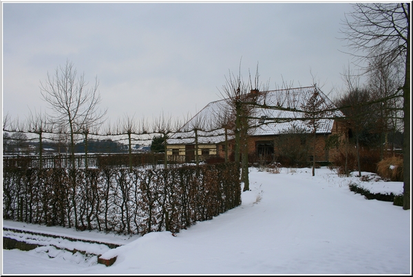 Winter in Olen