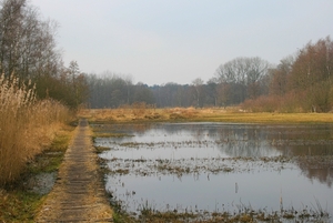 Het Olens Broek