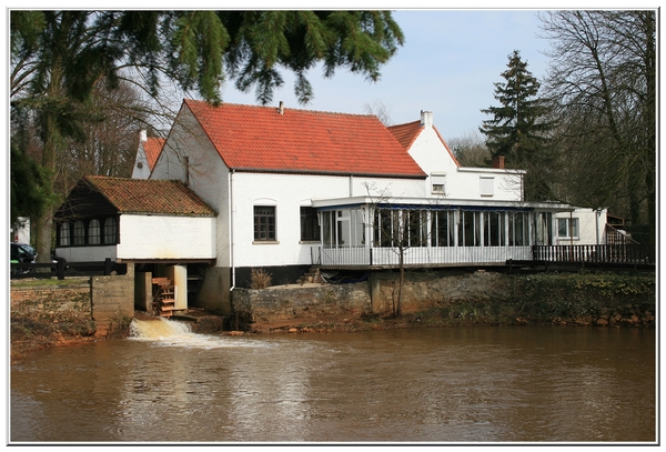 De Watermolen,Kasterlee,architectuur,bomen,water