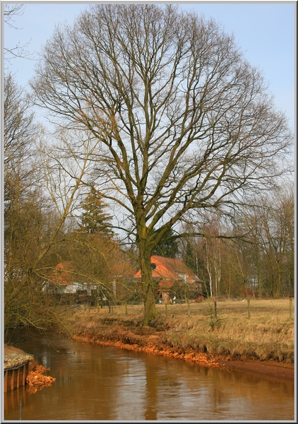 Bijna lente...,bomen,water,architectuur,Kasterlee