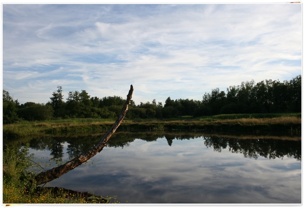 reflecties,lucht,wolken,water,zomer,olen