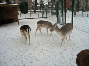 IMG_0032_bewerkt-1
