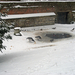 IMG_0015_bewerkt-1